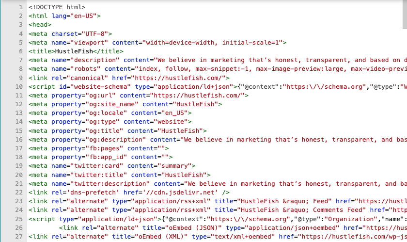 Schema markup validation results showing structured data detected on HustleFish.com